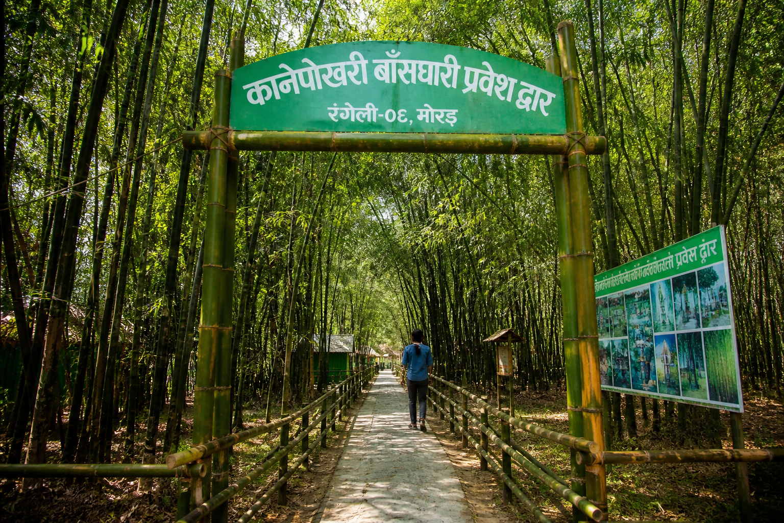 Bamboo grove in Morang’s Kanepokhari transforms into popular eco-tourism site - Nepalnews.com